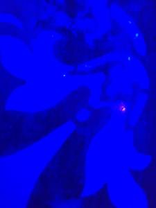 sunset 2 April 27 2016